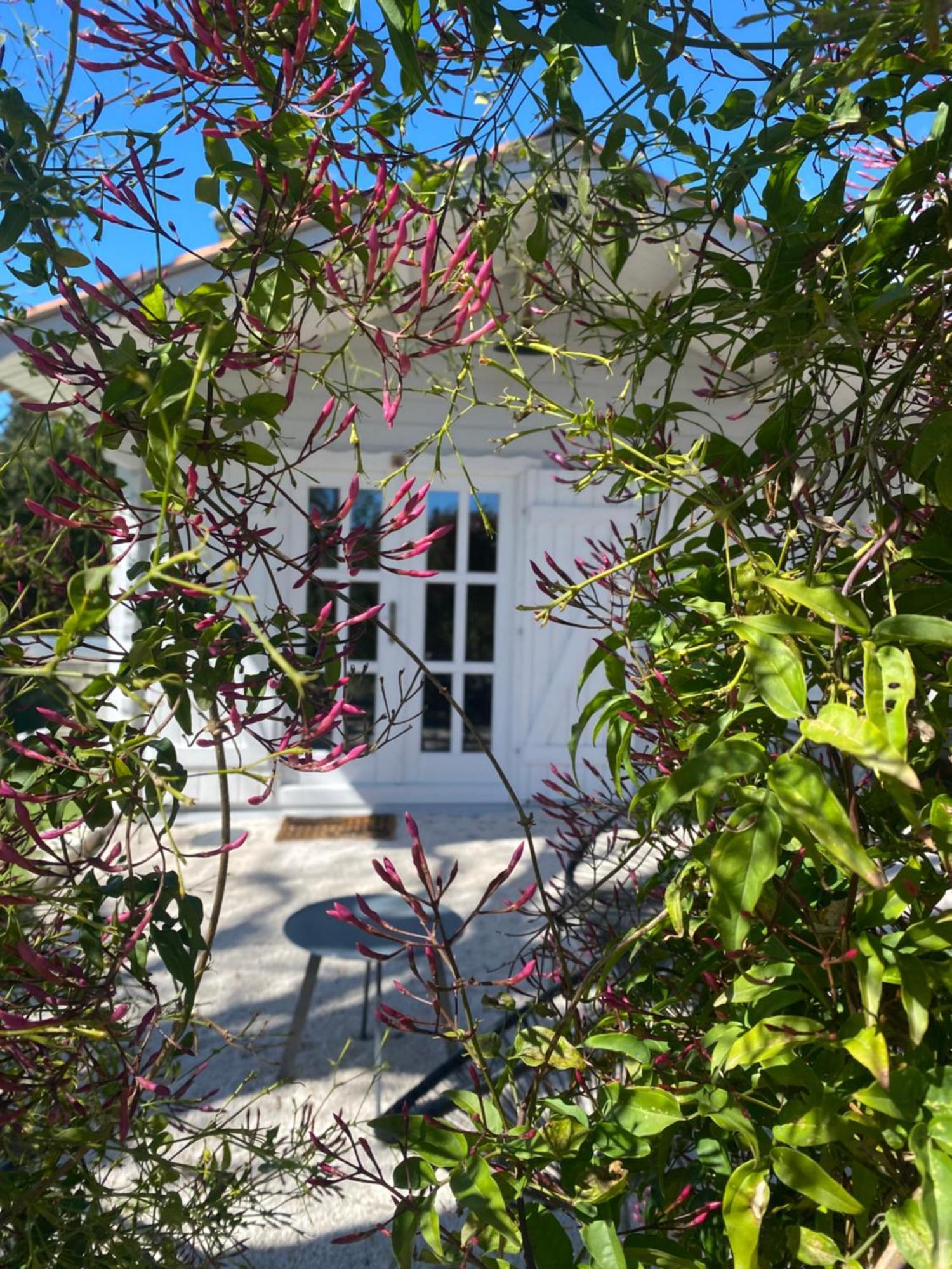 Maison Saint Paul Bnb La Colle-sur-Loup Exterior foto